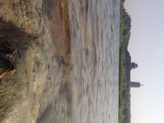 永定河休闲森林公园-永定河休闲森林公园