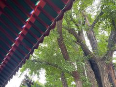 -红螺寺