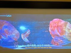 -金色印象·4K影院式足体养生(双龙湖店)