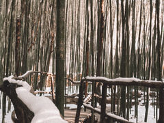 -竹泉村旅游度假区
