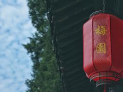 -无锡梅园公园