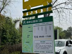 -合肥滨湖国家森林公园