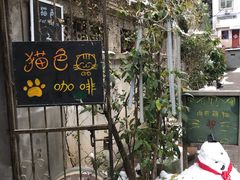 -猫色咖啡·猫咖