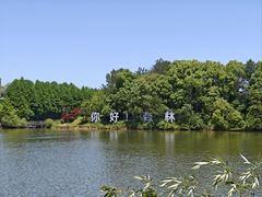 -句容茅山景区