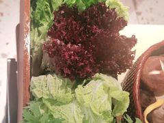 -渡娘火锅(大兴大悦春风里店)