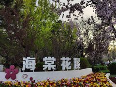-海棠花溪(元大都城垣遗址公园)