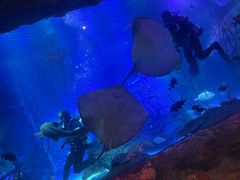 -沈阳海洋探索中心