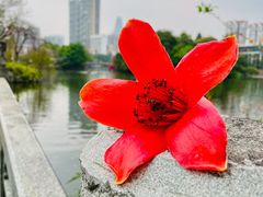 -东山湖公园
