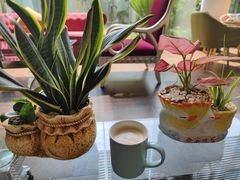 -园林格兰云天大酒店-太极名厨中餐厅