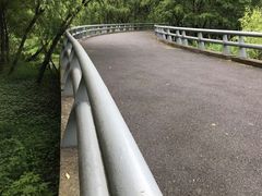 -西湖风景区-江洋畈生态公园