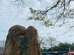 -大湾区中央湿地公园