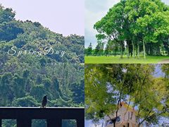 -福建鲤鱼洲酒店