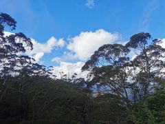 -悉尼蓝山三姐妹峰