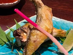 -加奈日本料理