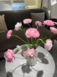 -MIDA蜜哒•科技逆龄美肤连锁