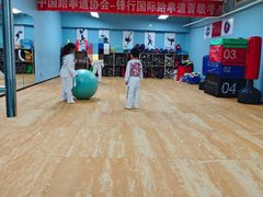 -嗨动跆拳道体能馆(菜百店)