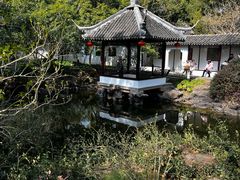 -上海醉白池公园