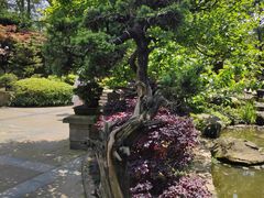 -南山植物园