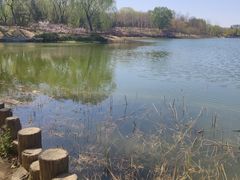 -大兴滨河森林公园