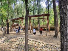 -蟠龙山长城景区