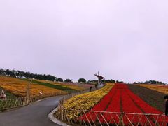 -东部华侨城
