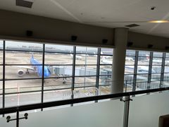 -虹桥机场国航贵宾室v8