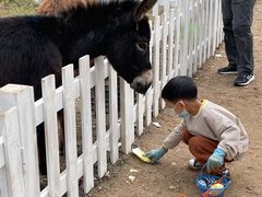 -前小桔亲子创意农场·草莓采摘·露营烧烤