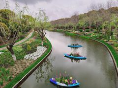 -上海鲜花港