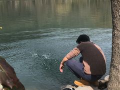 -紫霞湖公园