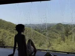 -大可堂普洱茶馆(襄阳南路馆)