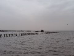 -哈素海