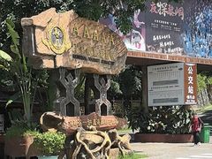-海南槟榔谷黎苗文化旅游区