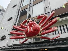 -心斋桥