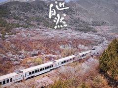 -居庸关长城-2号停车场