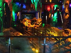 -乐山乌木文化博览苑