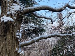 -紫金山索道-售票处