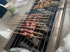 -吴淞炮台湾湿地森林公园烧烤区