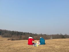 -东海森林温泉度假酒店