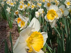 -闵行体育馆-停车场