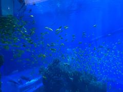 -成都浩海立方海洋公园