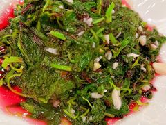 -清真·安乐园菜馆(茶南店)