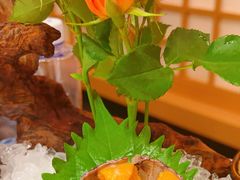 -胆道·海鲜之王(海信店)