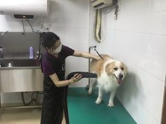-创凡宠物医院·骨专科  猫科中心(西乡分院)