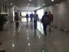 -张家界荷花国际机场