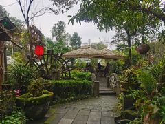 -青城甲(青城山店)