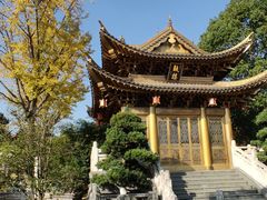 -上海东林寺(金山区)