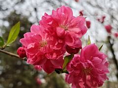 -木塔寺遗址生态公园
