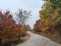 -国家植物园南园