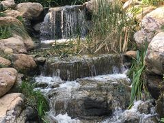 -大连植物园