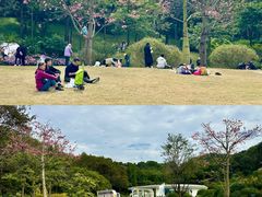 -云溪植物园